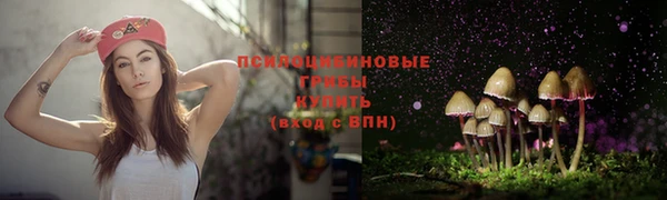 MDMA Богородицк