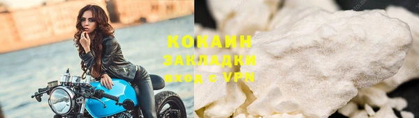 гидра Тайга