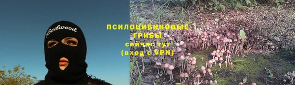 прущая мука Богданович
