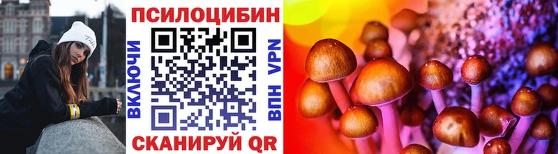 где купить наркотик  Межгорье  Псилоцибиновые грибы Cubensis 